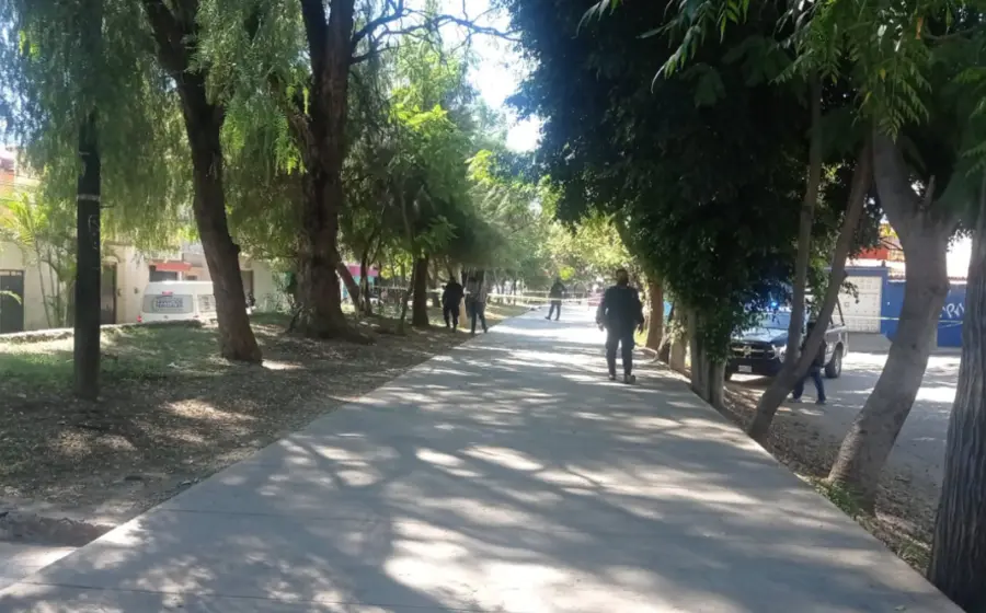 asesinato