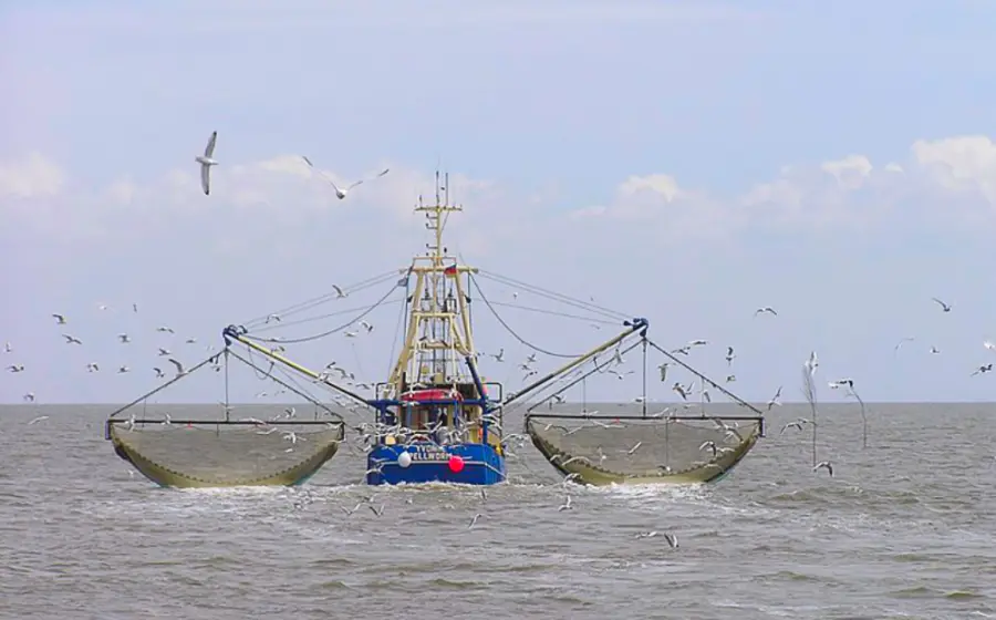 bote_pesca