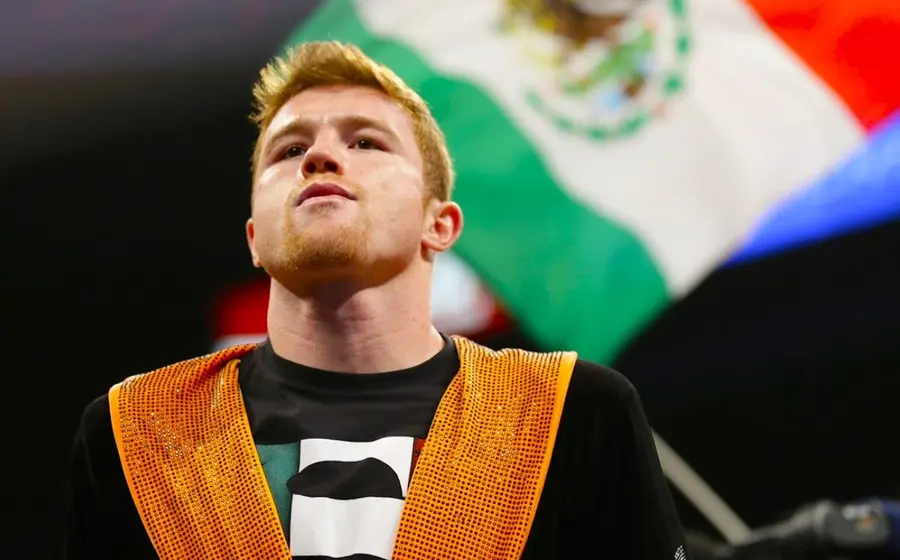 boxeador 