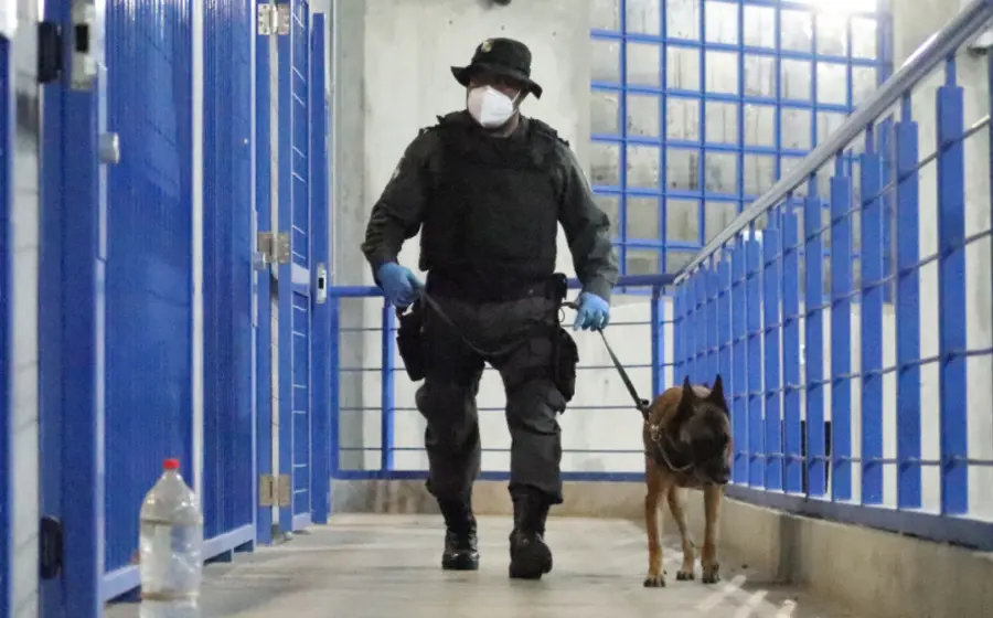 guardia_perro