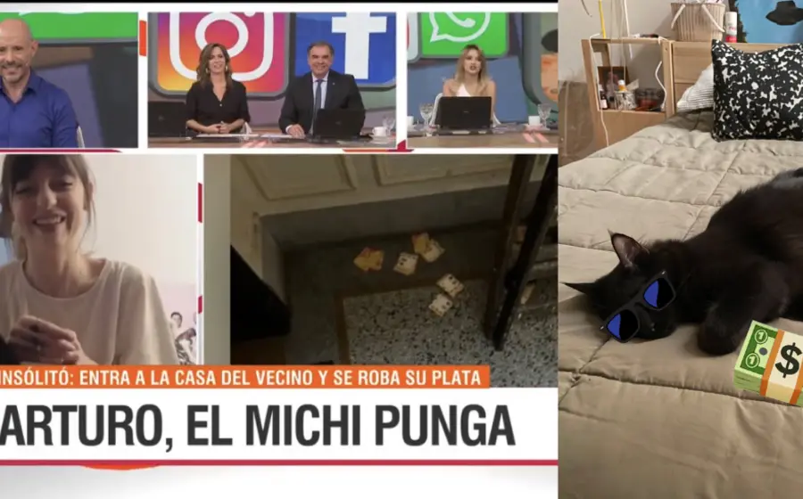 michi_punga