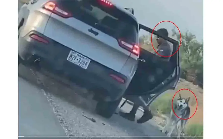 Un sujeto de origen hispano le quita la correa y el collar a un perro husky y lo abandona.