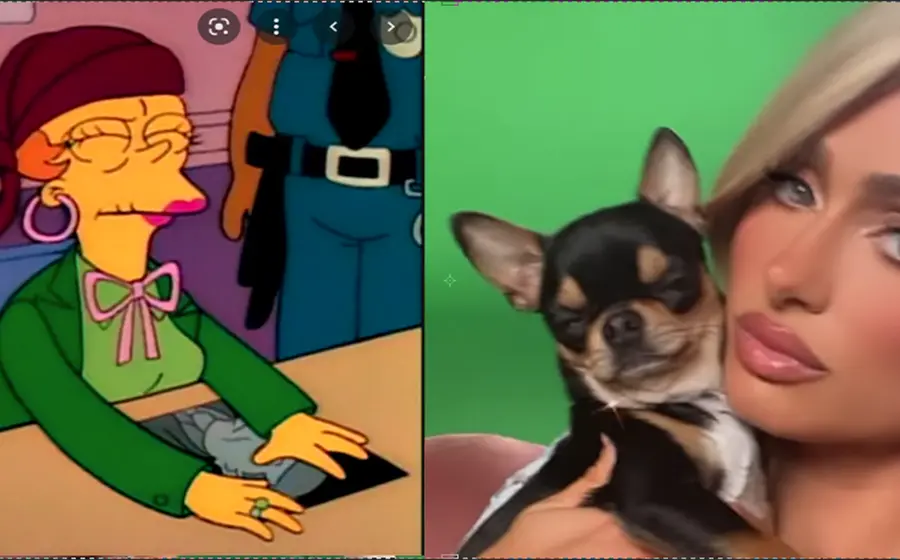 medium_busca_chihuahua