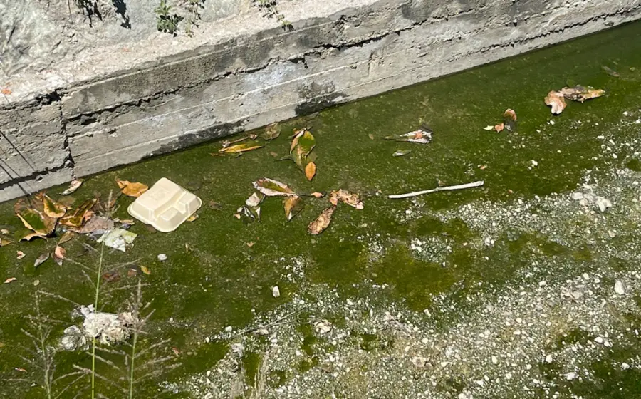 aguas-negras-contaminacion