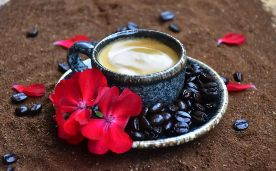 taza-de-cafe