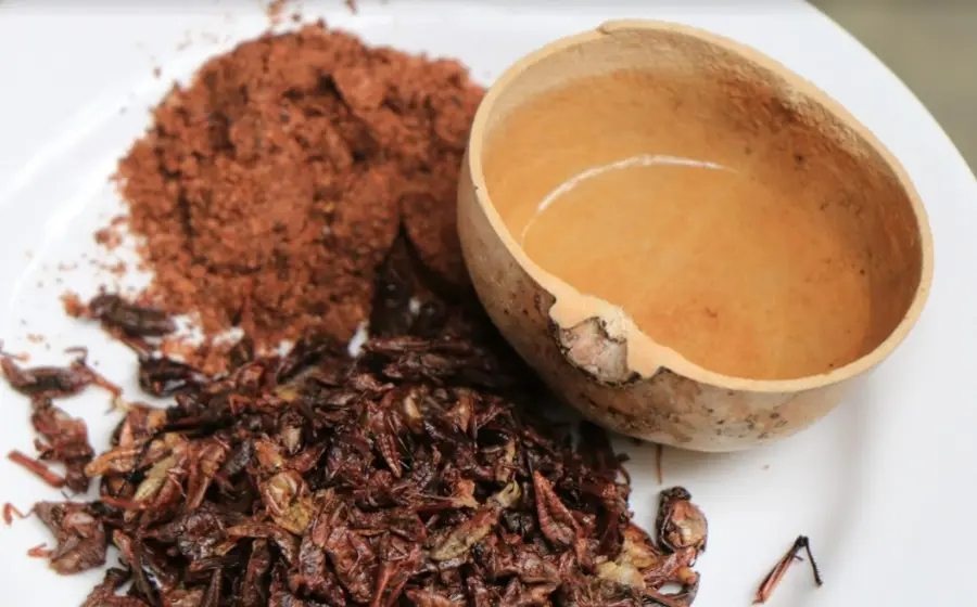 chapulines-sal-de-chile-salsa