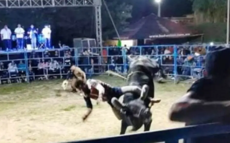 jinete-cae-de-toro