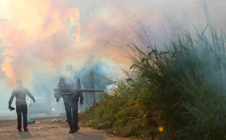 fumigacion