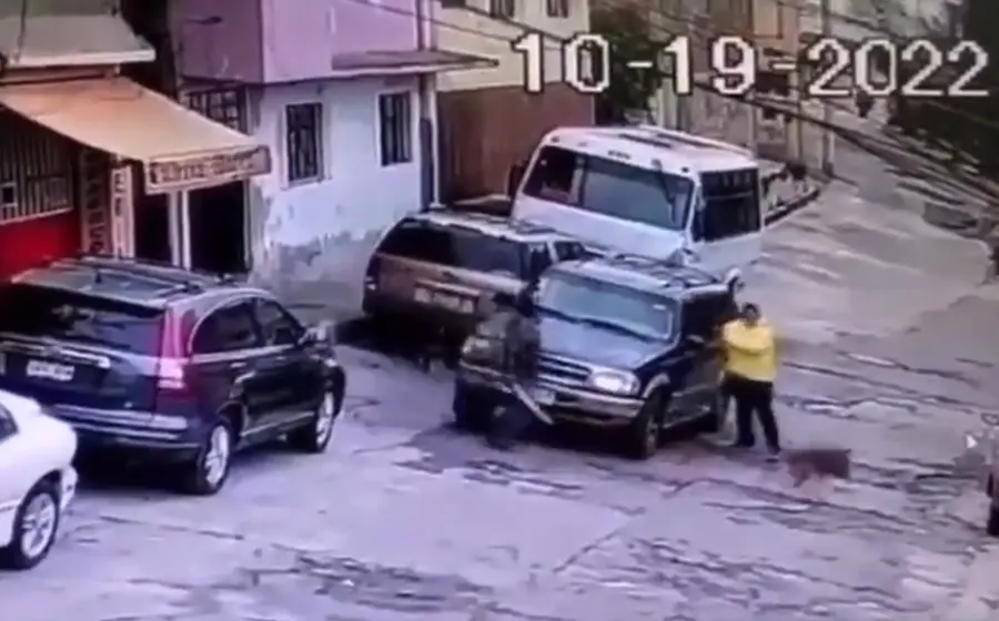 con_machete_atacan_a_perros