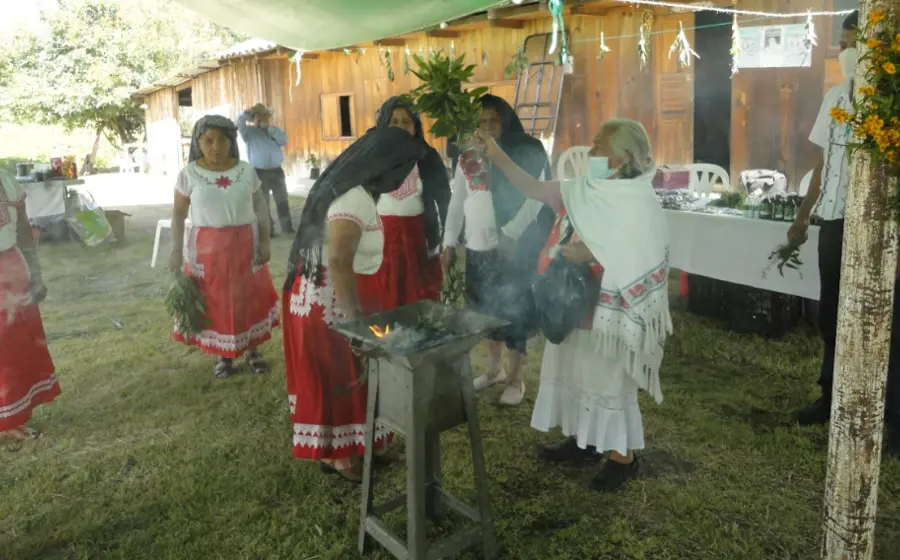 curandera-tradicional