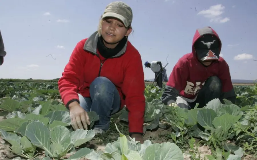 mujer_trabajando_en_campo