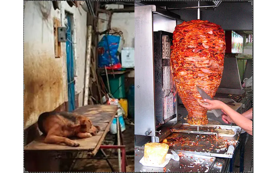 carne_de_perro
