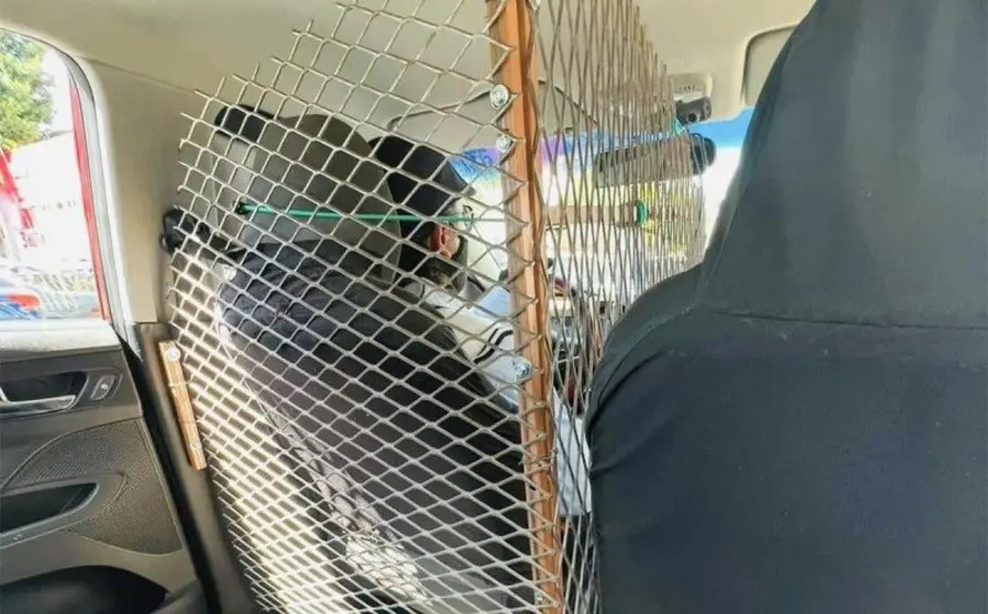 taxista 