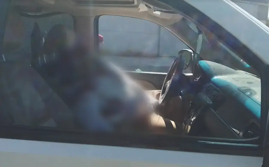 hombre-muerto-en-su-auto