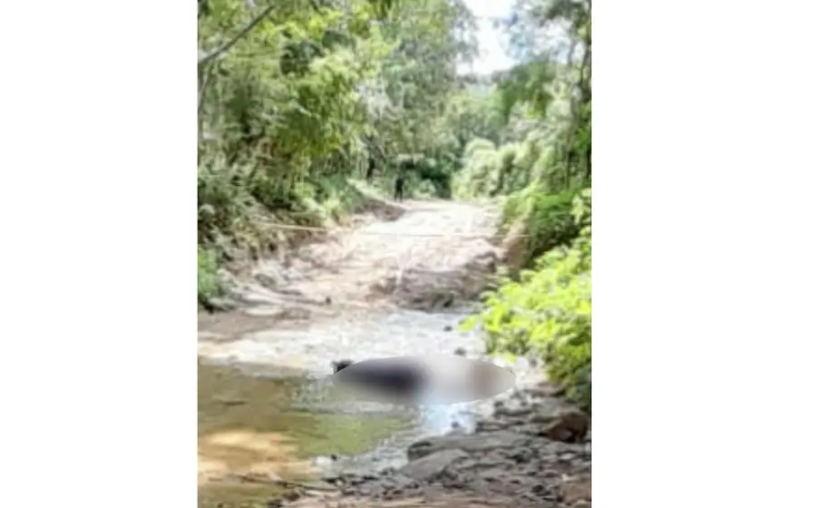 Río Las Hamacas 