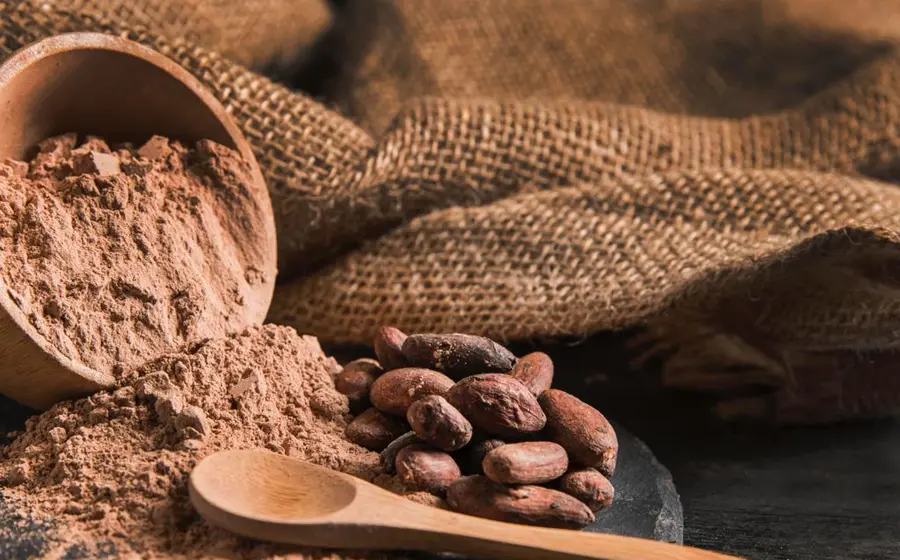 cacao-oaxaca