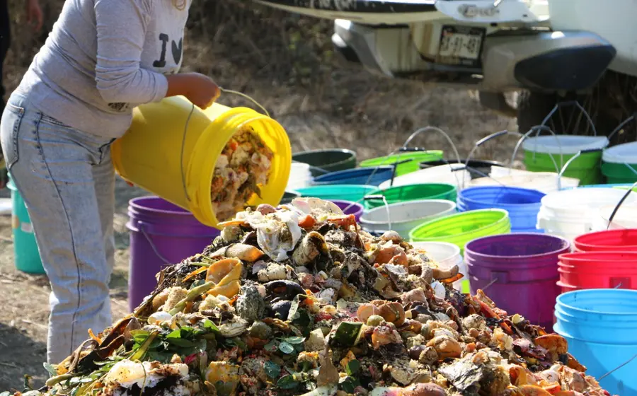 persona-separando-basura-organica