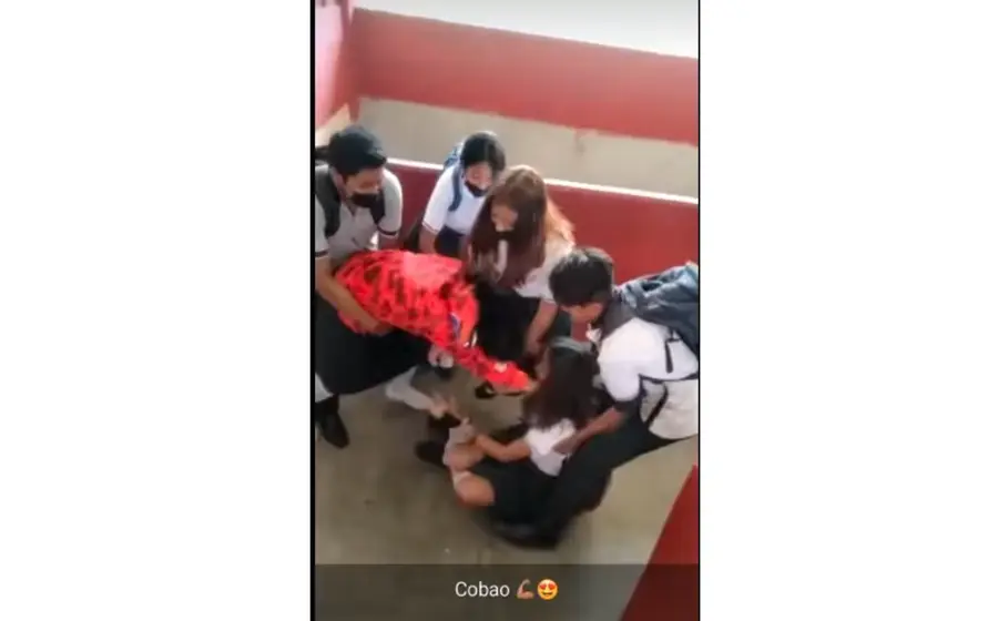 Tienen que separarlas