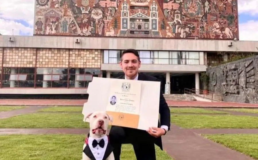 joven-perro 