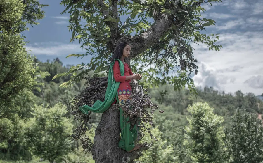 mujer-en-arbol 