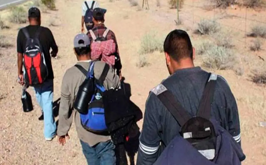 migrantes 