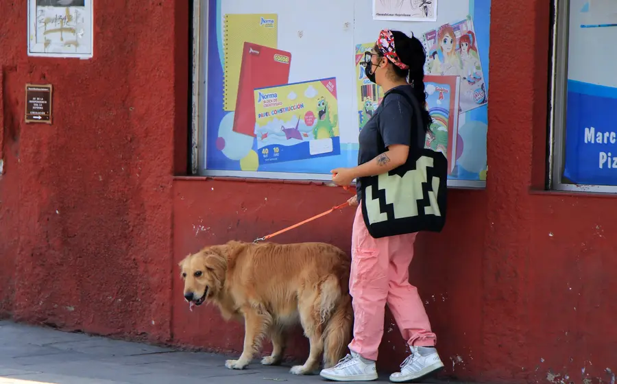 Persona_paseando_perro