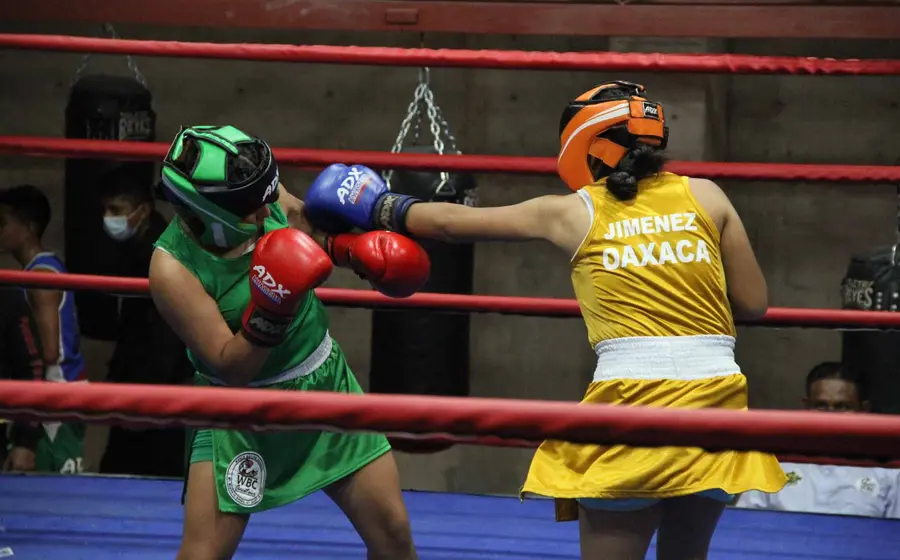 boxeo 