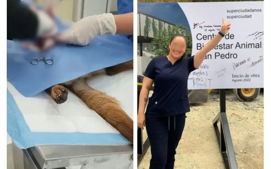 despedidas_por_negligencia_en_operacion_perrita
