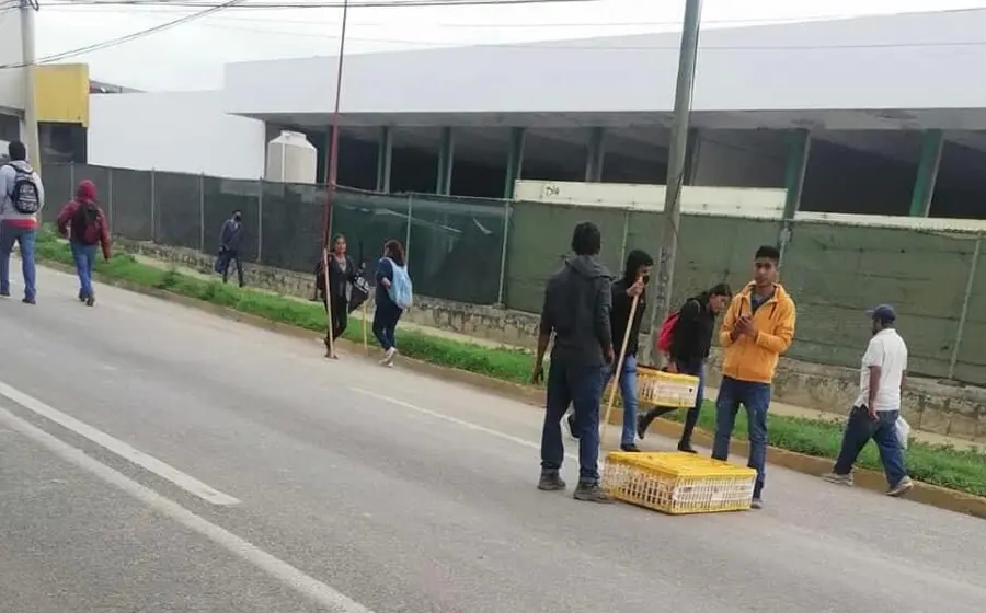 personas-con-pollos