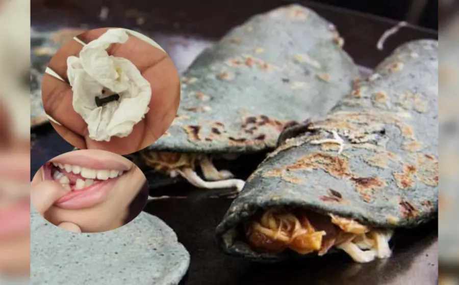 se_rompe_diente_con_clavo_quesadilla