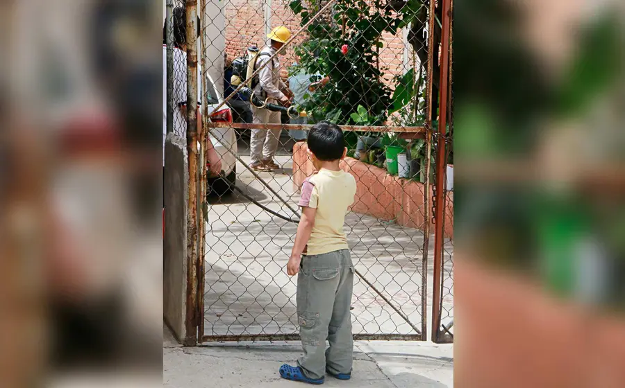 niño