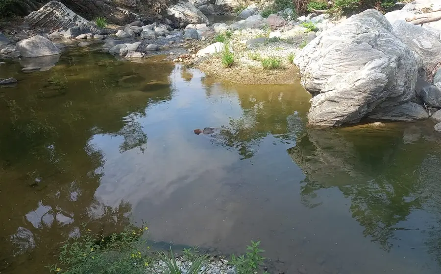 lago 