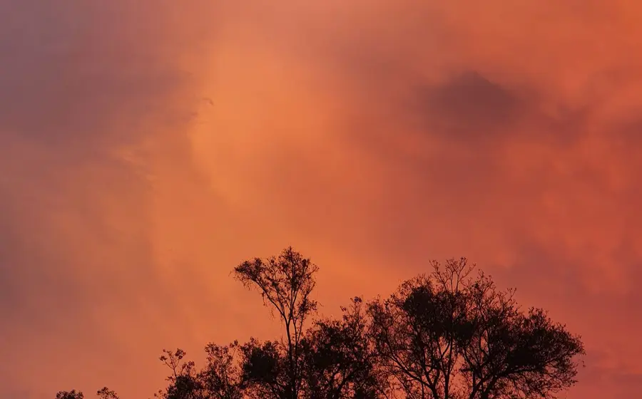 incendio 