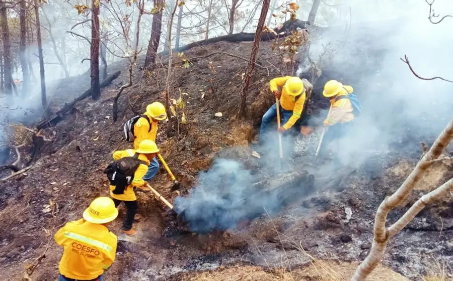 incendios