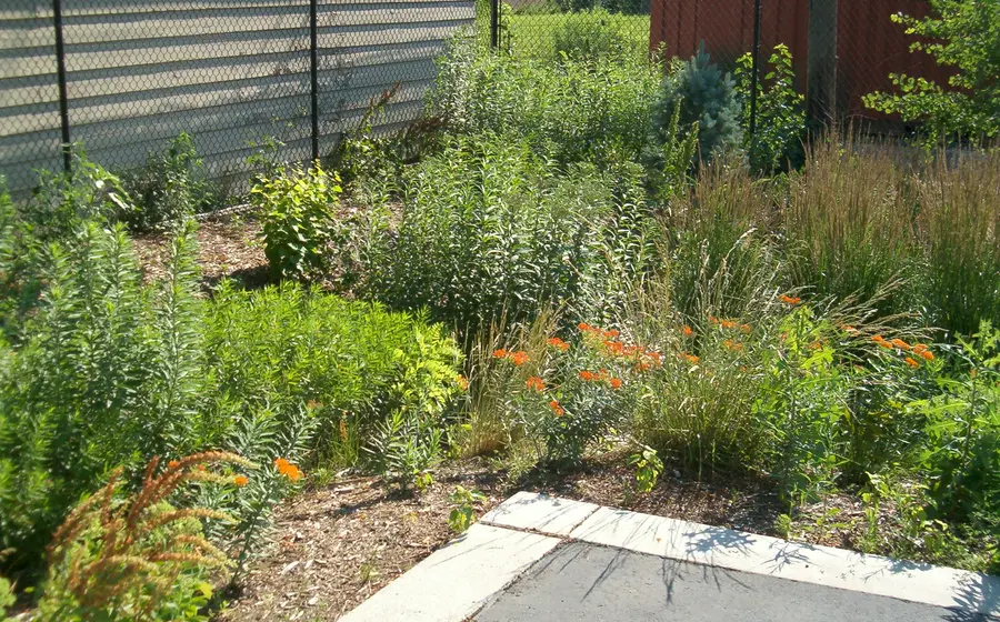 jardin_infiltrante