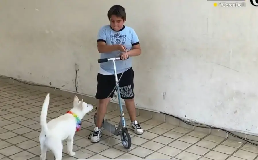 niño-perro