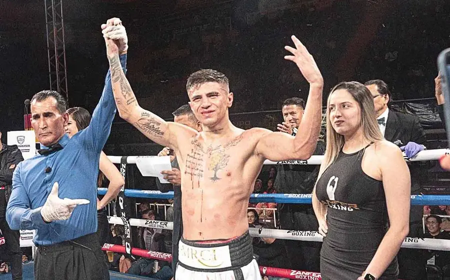 boxeador 