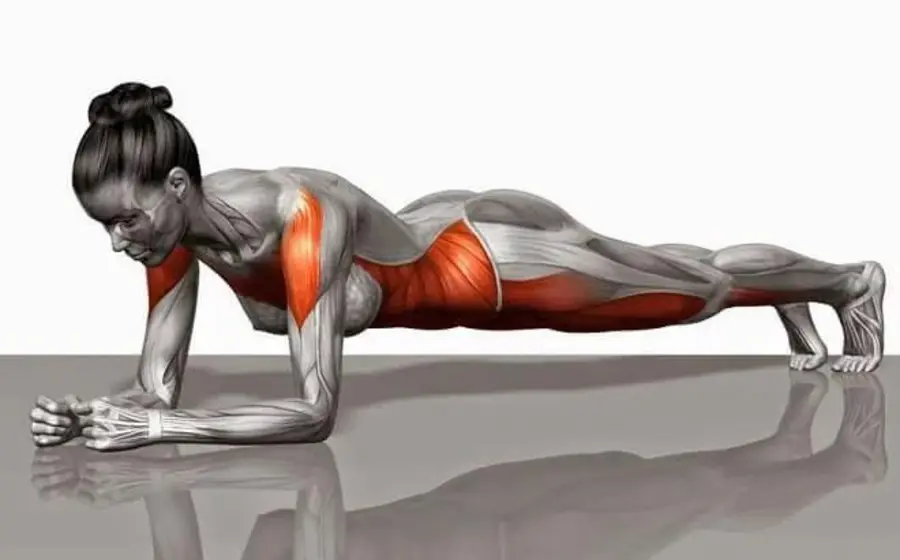 plancha-ejercicio