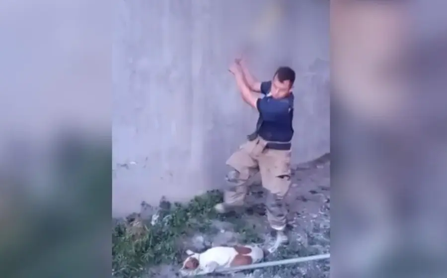 captan_bomberos_ultimando_a_perros