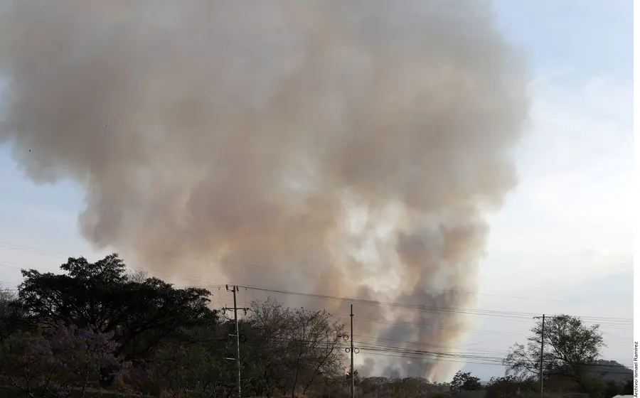 Incendio forestal