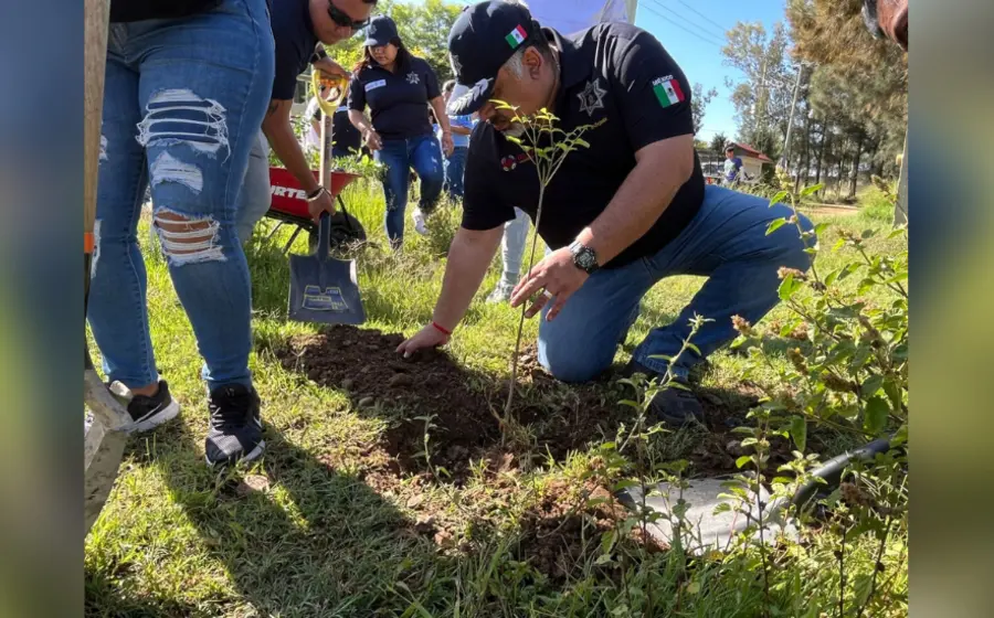 Reforestación