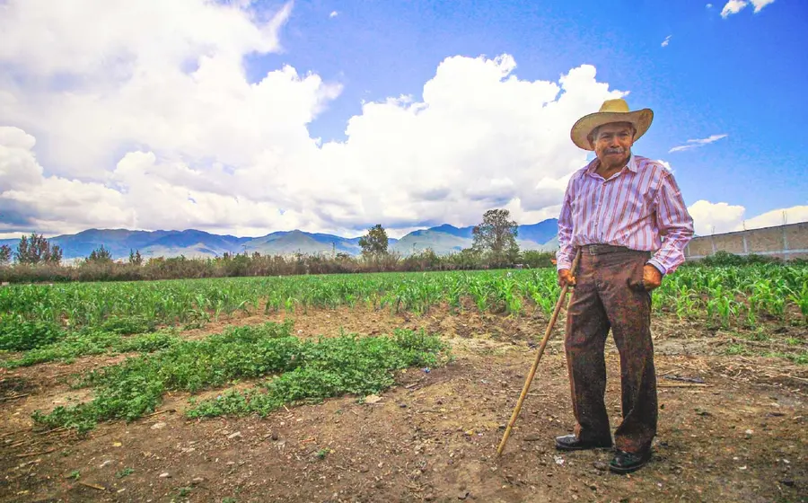 agricultura 
