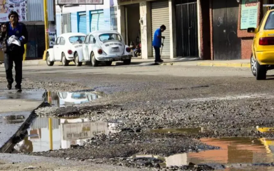 Baches
