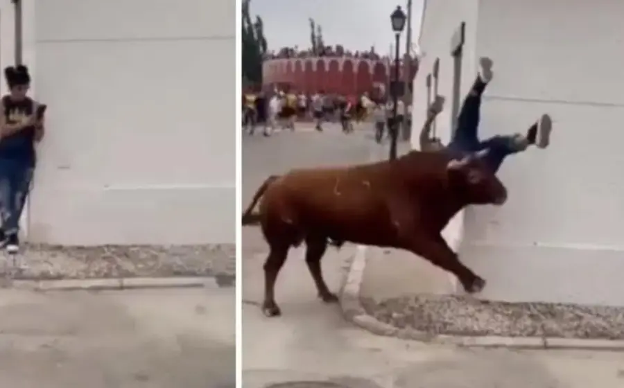 mujer_distraida_celular_embestida_toro
