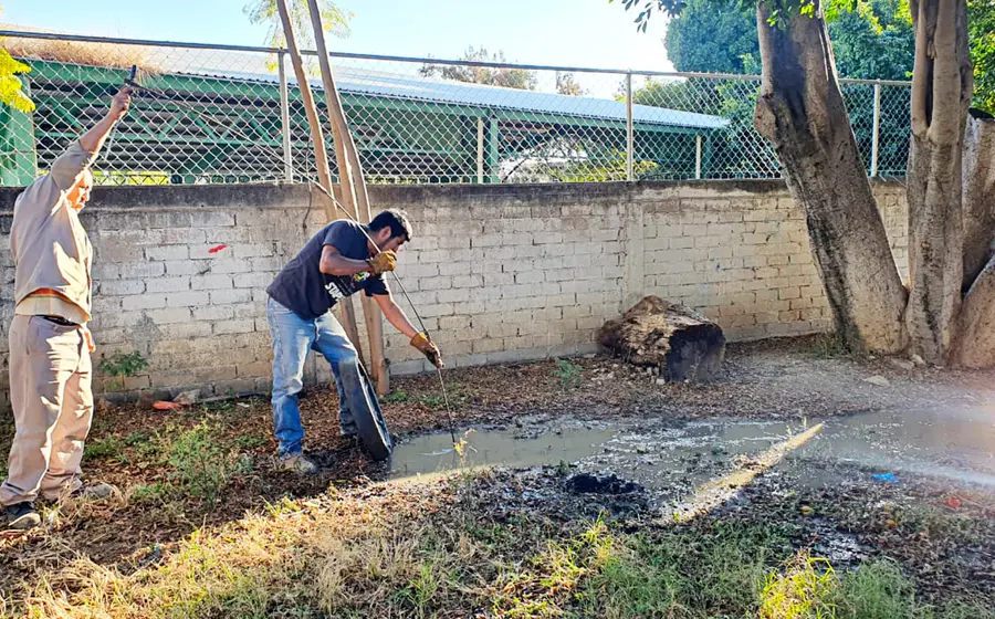 Trabajadores