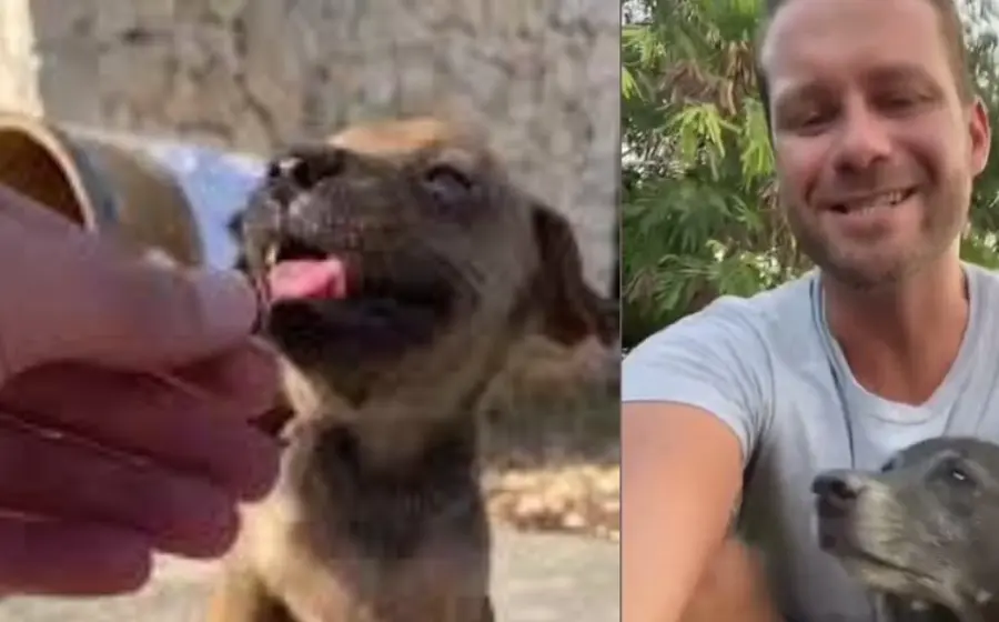 alimenta_perritos_de_la_calle