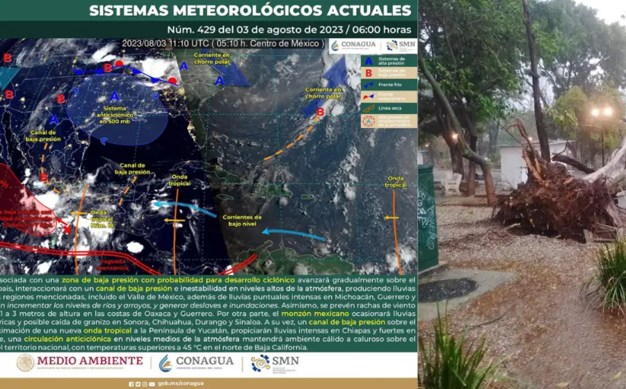 Pronóstico 