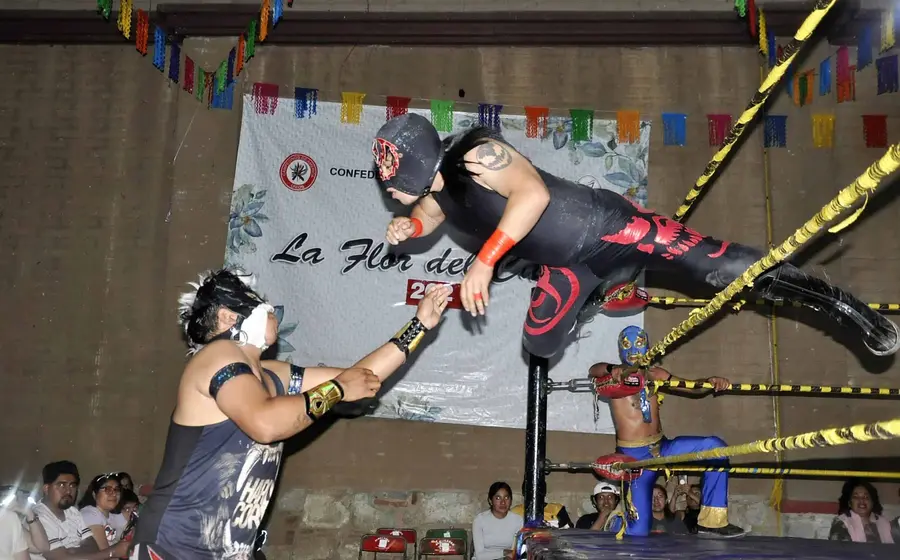 lucha 