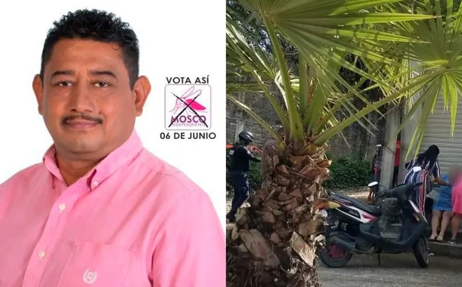 candidato 