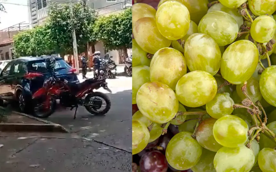 uvas